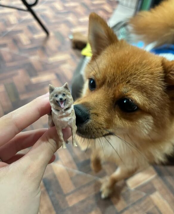 わんちゃん