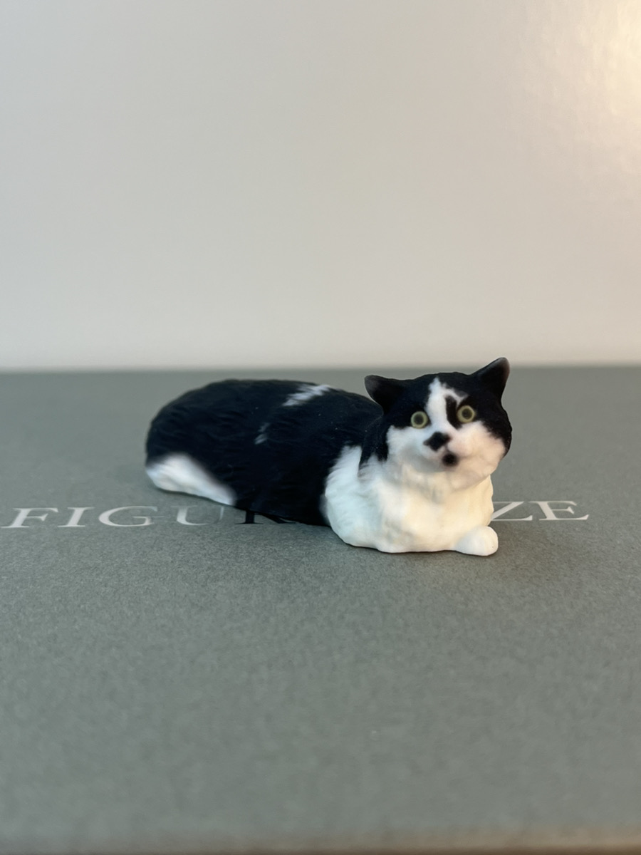 ねこ