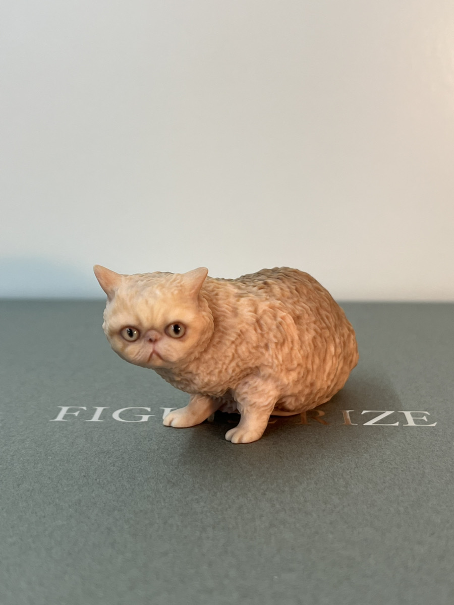 ねこ