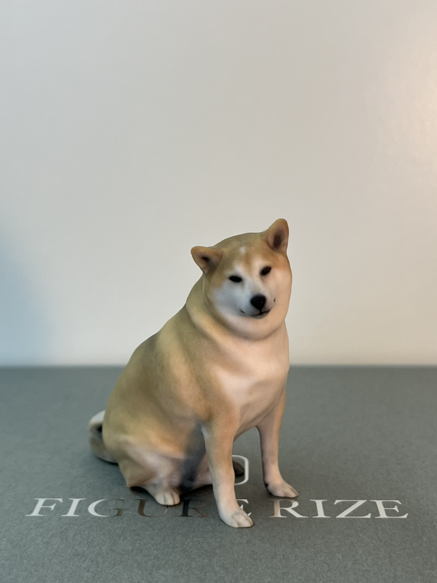 いぬ