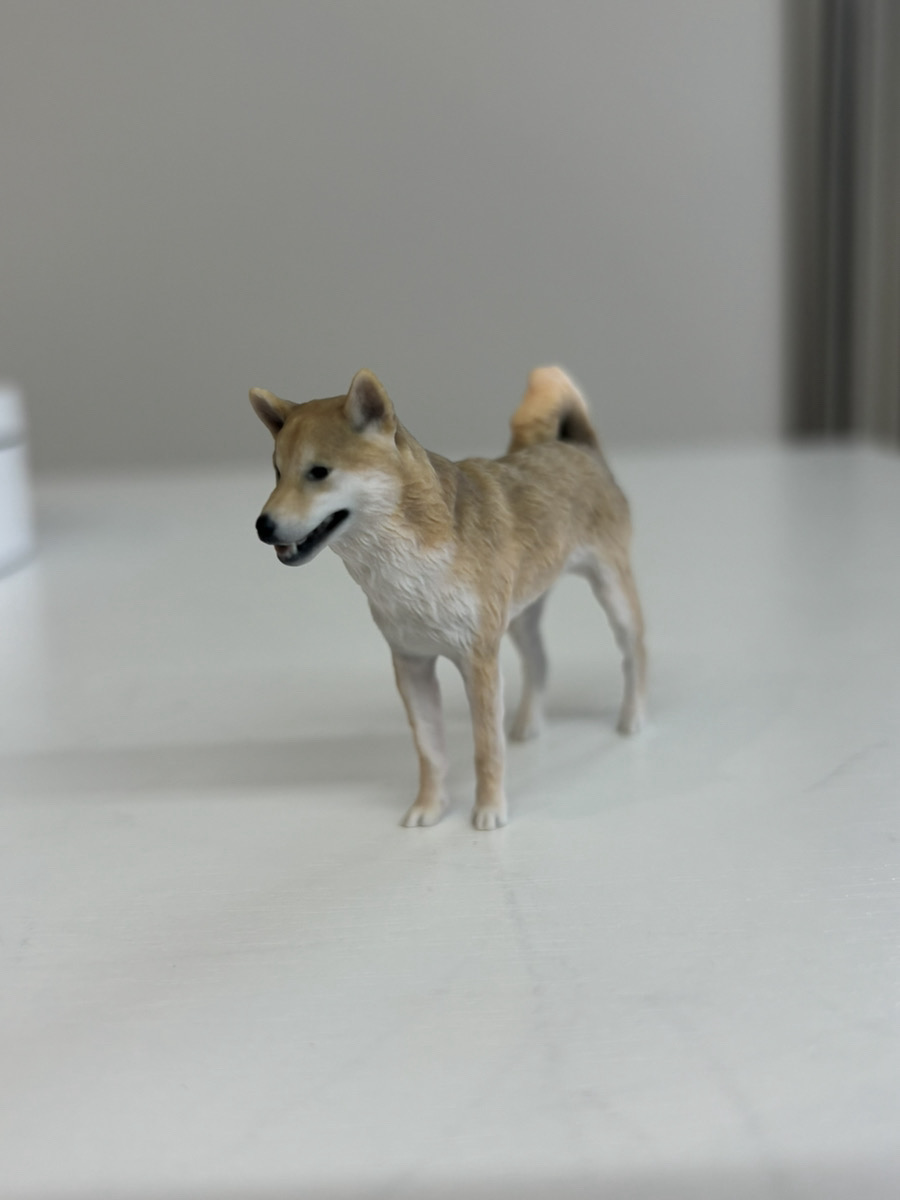 いぬ