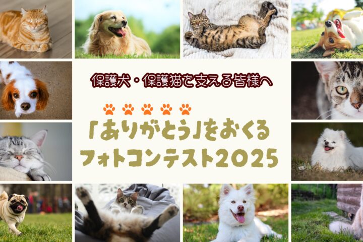 保護犬・保護猫を支える人へ「ありがとう」を贈るフォトコンテスト2025