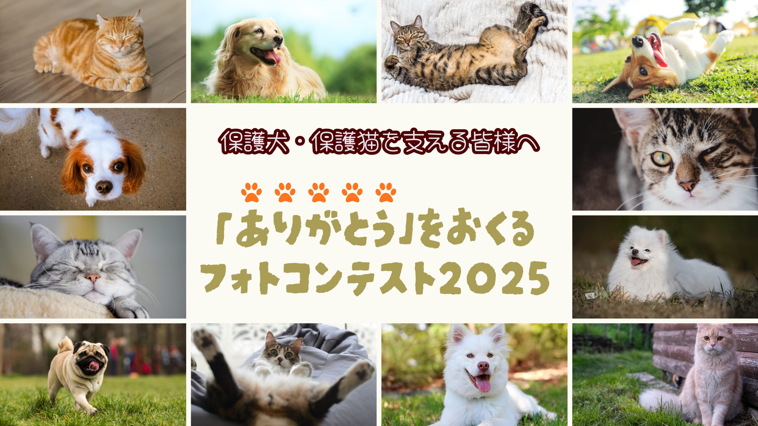 保護犬・保護猫を支える人へ「ありがとう」を贈るフォトコンテスト2025
