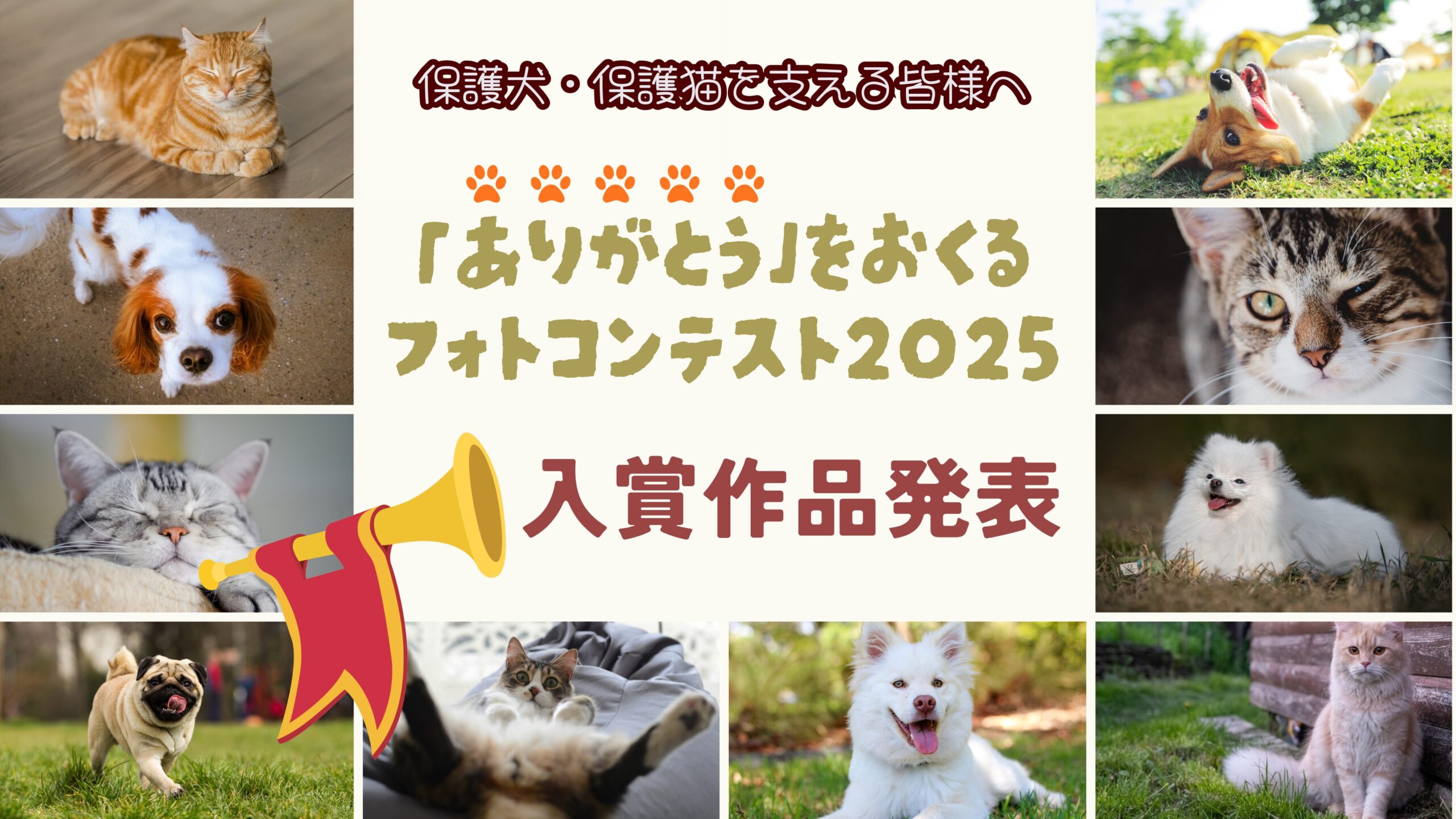 【結果発表】保護犬・保護猫を支える人へ「ありがとう」を贈るフォトコンテスト2025