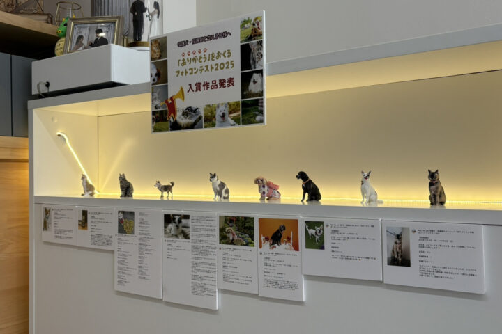 【展示開始】保護犬・保護猫を支える人へ「ありがとう」を贈るフォトコンテスト2025